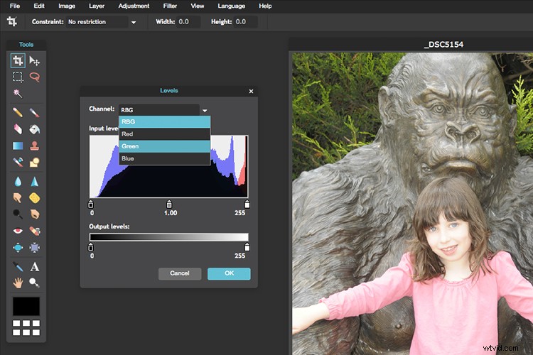 Expert Tips: Choosing the Best Free Photo Editor for Post-Processing
