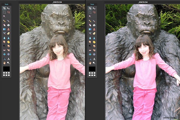 Expert Tips: Choosing the Best Free Photo Editor for Post-Processing