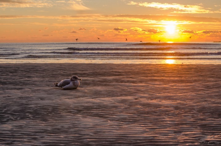 Ultimate Guide: How to Resize Images for Perfect Online Sharing