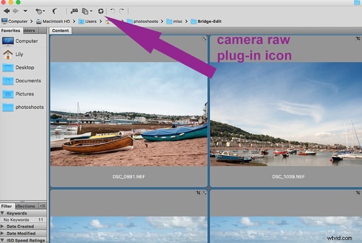 Batch Processing Made Easy: 5 Beginner Steps with Adobe Bridge