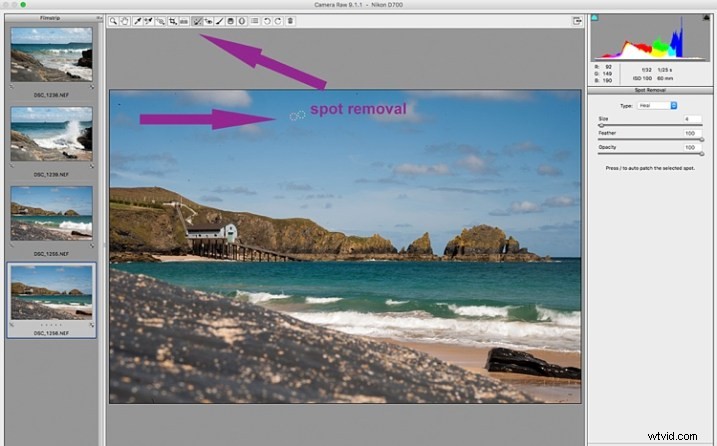 Batch Processing Made Easy: 5 Beginner Steps with Adobe Bridge