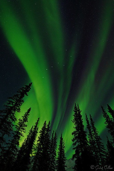 Expert Tips for Capturing Stunning Northern Lights Photos