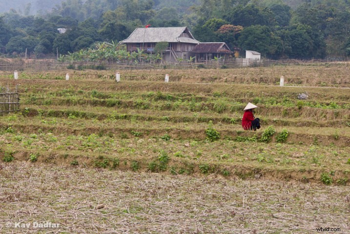 5 Cropping Mistakes Sabotaging Your Photos – Fix Them Now