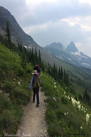 6 Expert Tips for a Successful 365-Day Photography Project