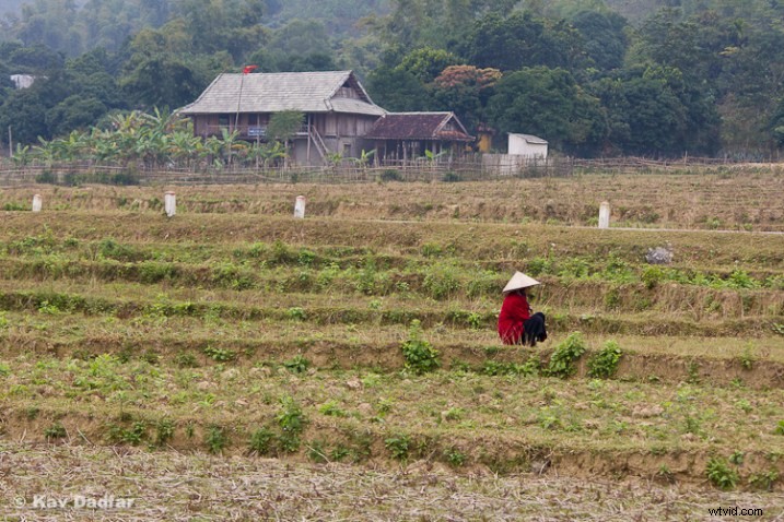 5 Cropping Mistakes Sabotaging Your Photos – Fix Them Now