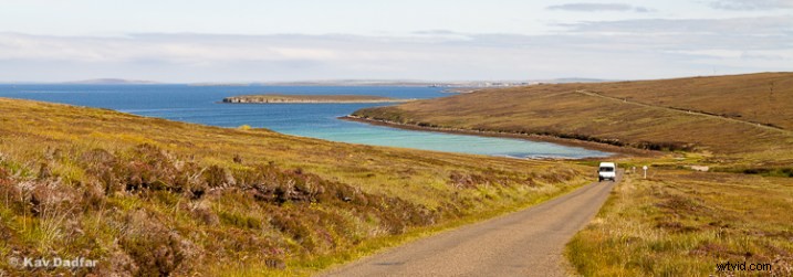 5 Cropping Mistakes Sabotaging Your Photos – Fix Them Now