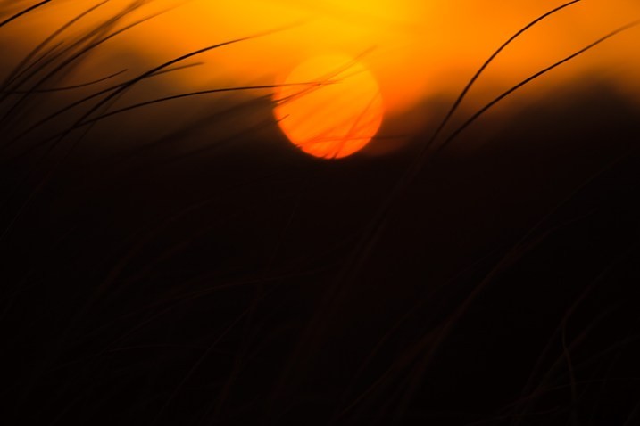 Master Dramatic Photography: Harness Shadows and Contrast for Stunning Images