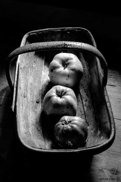 Master Dramatic Photography: Harness Shadows and Contrast for Stunning Images