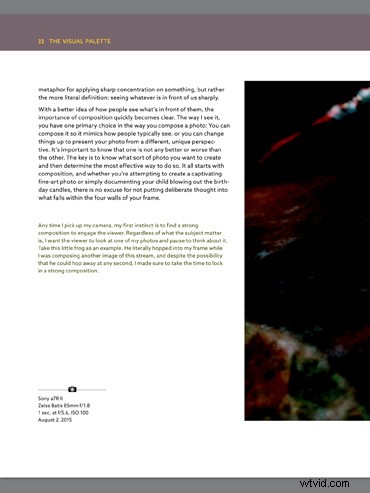 The Visual Palette by Brian Matiash: Expert Book Review for Creative Photographers