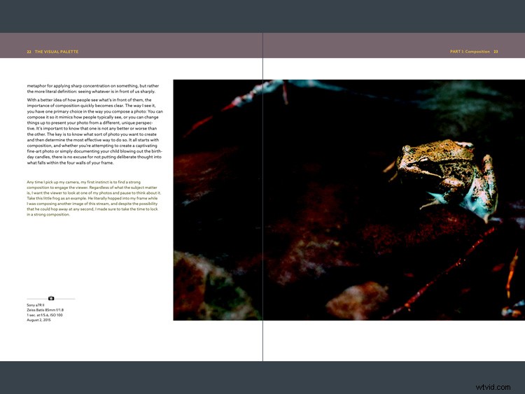The Visual Palette by Brian Matiash: Expert Book Review for Creative Photographers