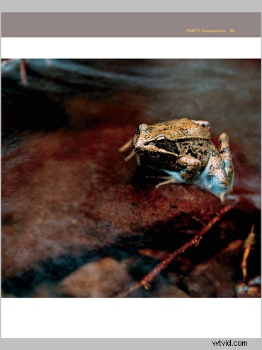 The Visual Palette by Brian Matiash: Expert Book Review for Creative Photographers