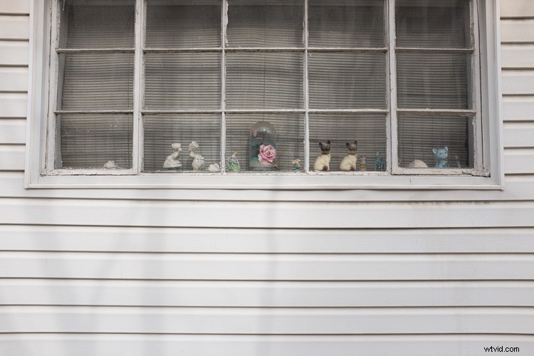 7 Engaging Strategies to Boost Your Photography Passion and Enjoyment