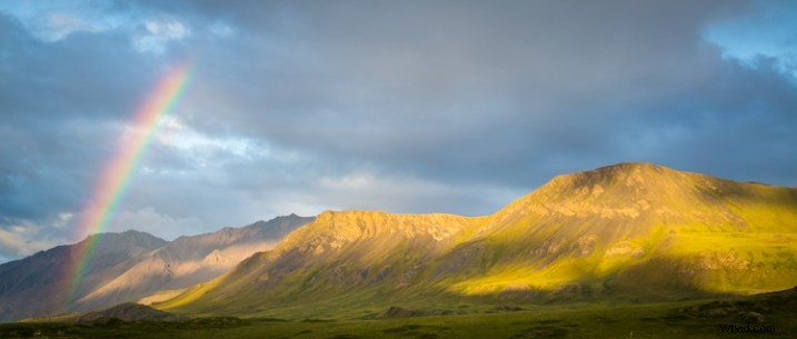 5 Harsh Realities About Photography Every Enthusiast Must Face