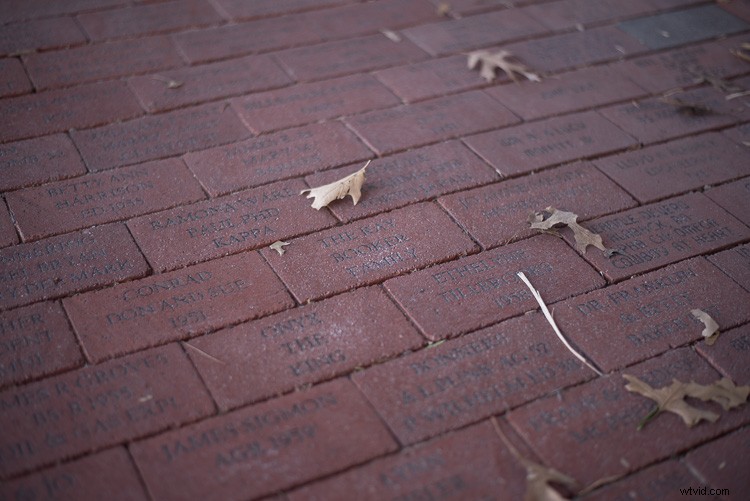 Obsessed with Wide Apertures? Why Stopping Down Can Elevate Your Photography