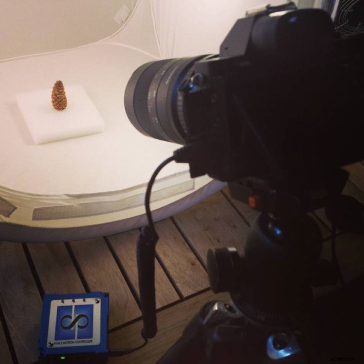 Capture Stunning Pine Cone Time-Lapse: Easy Step-by-Step Tutorial