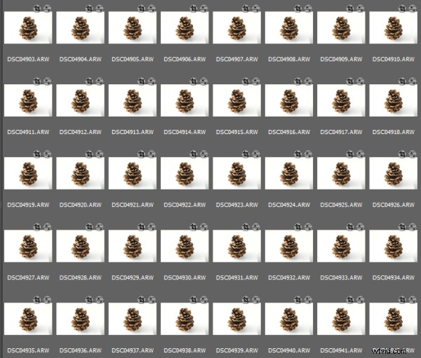 Capture Stunning Pine Cone Time-Lapse: Easy Step-by-Step Tutorial