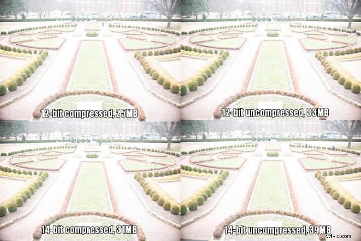 12-Bit vs. 14-Bit RAW: Which Bit Depth is Best for Your Photography?