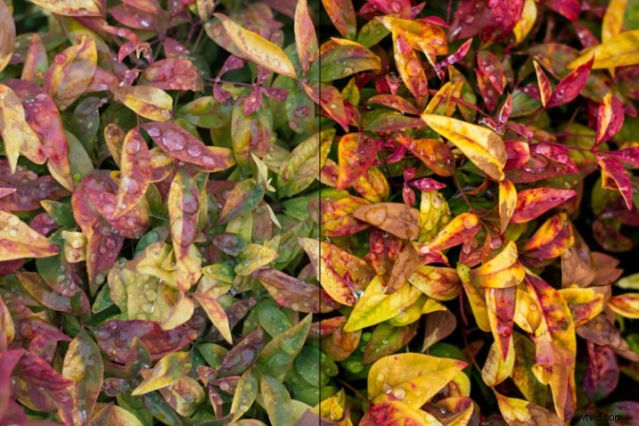 12-Bit vs. 14-Bit RAW: Which Bit Depth is Best for Your Photography?