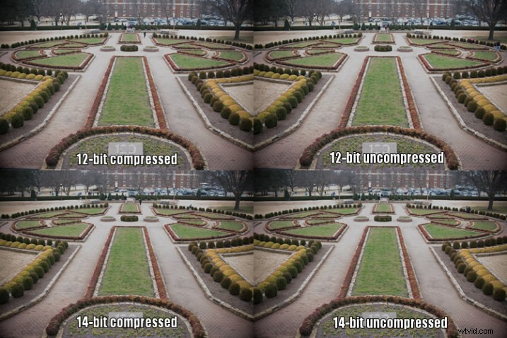 12-Bit vs. 14-Bit RAW: Which Bit Depth is Best for Your Photography?