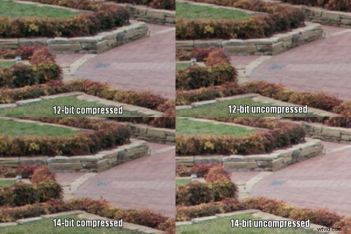 12-Bit vs. 14-Bit RAW: Which Bit Depth is Best for Your Photography?