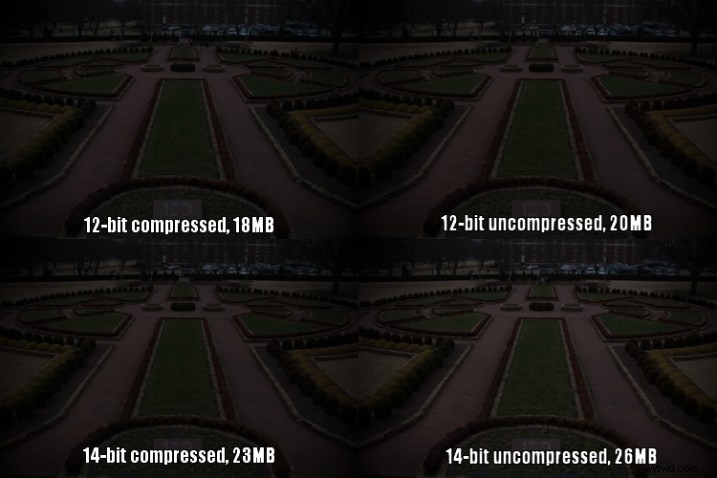 12-Bit vs. 14-Bit RAW: Which Bit Depth is Best for Your Photography?