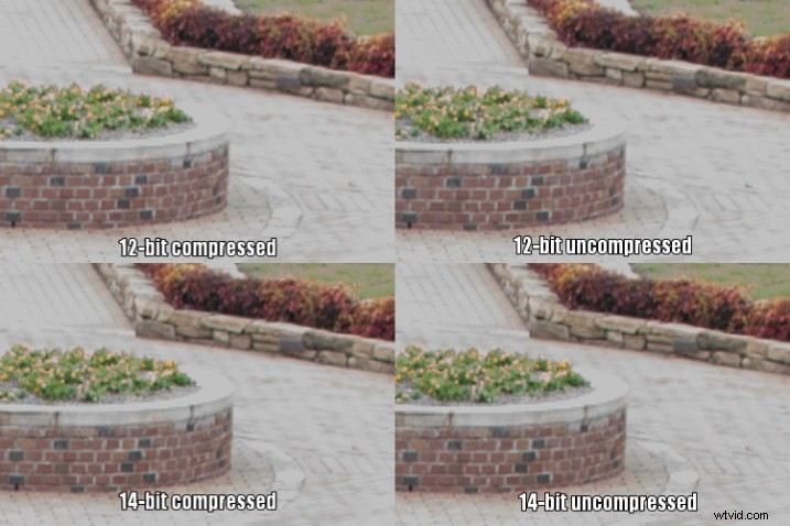 12-Bit vs. 14-Bit RAW: Which Bit Depth is Best for Your Photography?