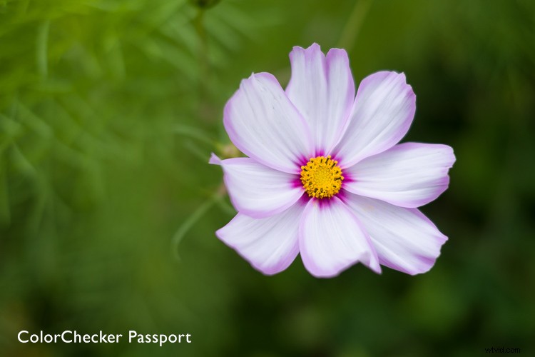 Achieve Perfect Color Accuracy: Ultimate Guide to the X-Rite ColorChecker Passport