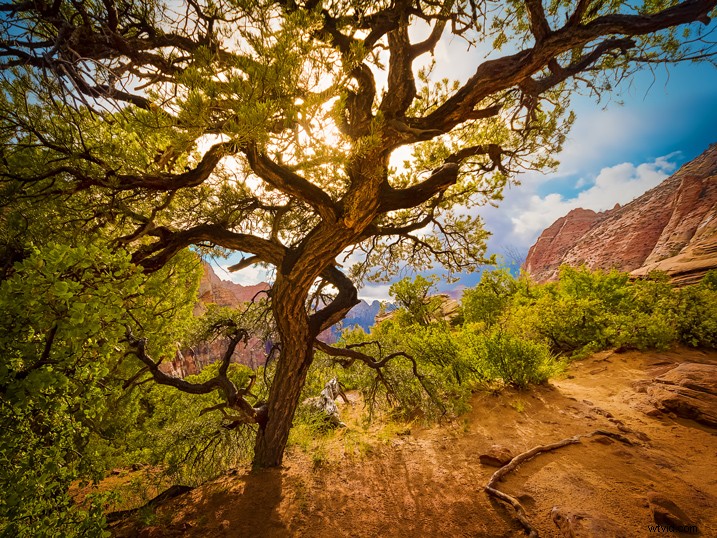 The Overlooked Power of HDR Photography: Matching the Human Eye s Dynamic Range