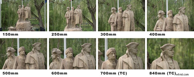 Sigma 150-600mm Contemporary Lens Review with TC-1401 Teleconverter Bundle