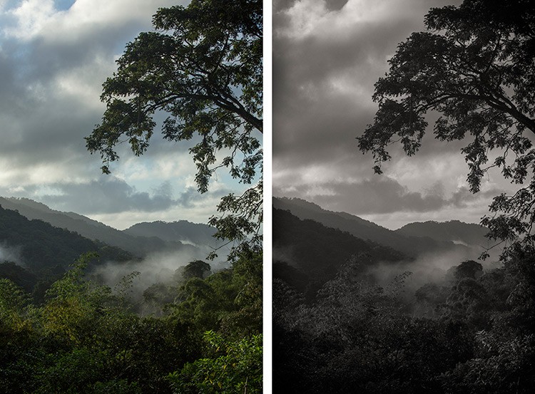 Google Nik Collection Filters: Ultimate Guide to Pro Photo Post-Processing