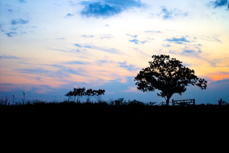 Embrace Auto ISO: Master Exposure and Simplify Your Photography