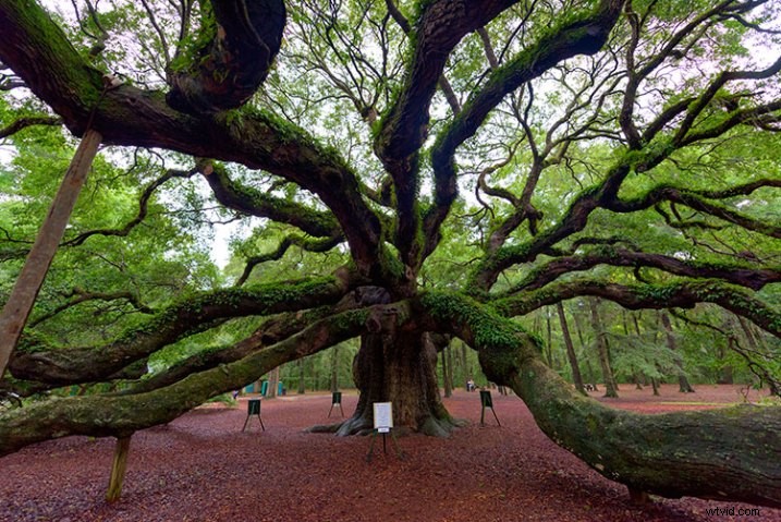 Expert Review: Macphun Creative Kit 2016 – Elevate Your Photo Editing