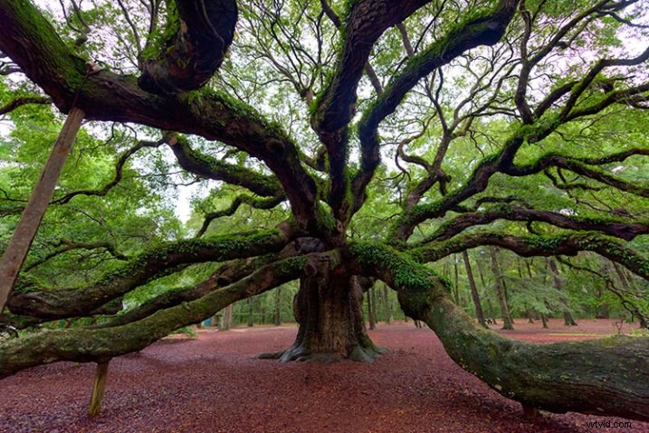 Expert Review: Macphun Creative Kit 2016 – Elevate Your Photo Editing