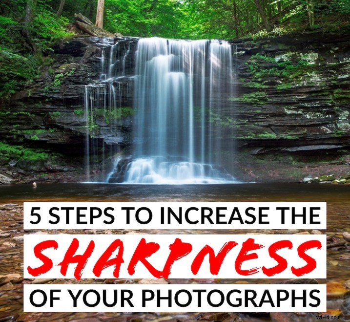5 Proven Steps to Achieve Razor-Sharp Photos Every Time