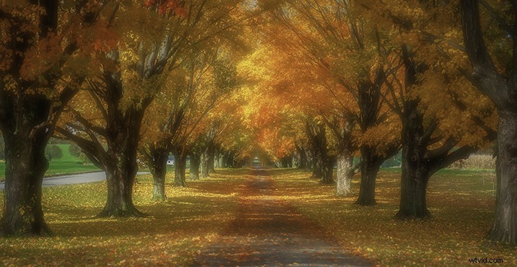 5 Proven Steps to Achieve Razor-Sharp Photos Every Time