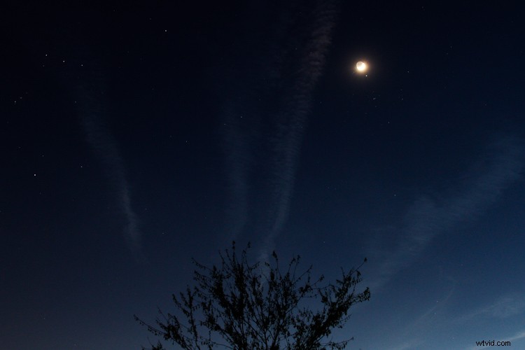 Sigma 30mm f/1.4 DC HSM Art Lens Review: Sharpness, Speed & APS-C Excellence