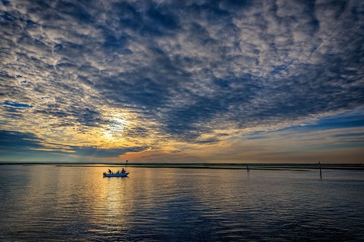 Sigma 20mm f/1.4 DG HSM Art Lens Review: Unmatched Sharpness & Premium Build