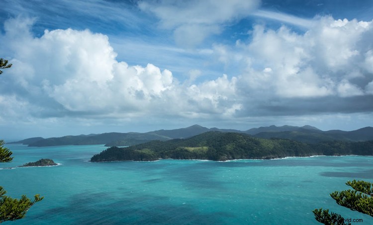 10 Essential Tips Every Beginner Photographer Needs to Know