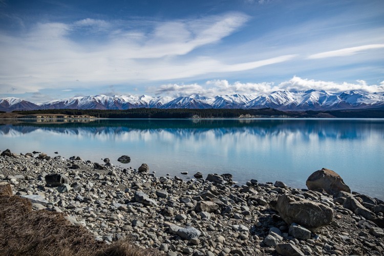 10 Essential Tips Every Beginner Photographer Needs to Know