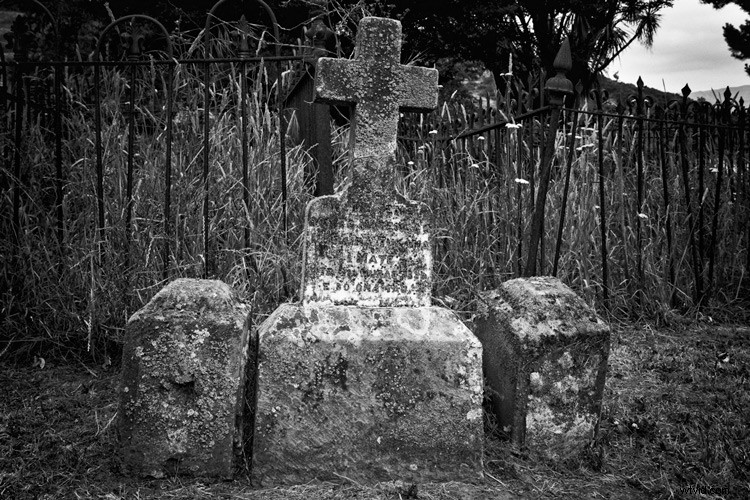 10 Essential Tips Every Beginner Photographer Needs to Know