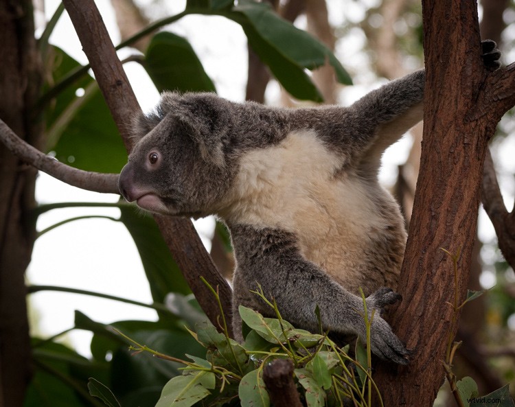 10 Essential Tips Every Beginner Photographer Needs to Know