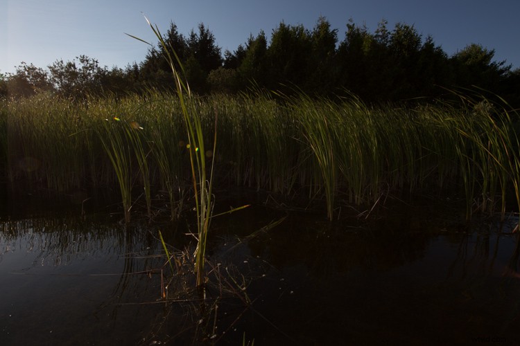 Stop Deleting Bad Photos: Learn from Photography Mistakes with Expert Tips