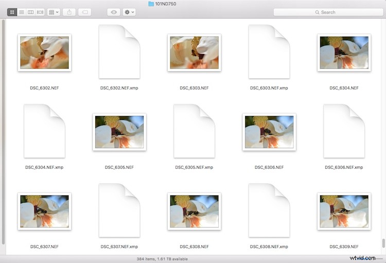 Expert Review: Corel AfterShot Pro 3 – Powerful, Efficient Photo Editing Software