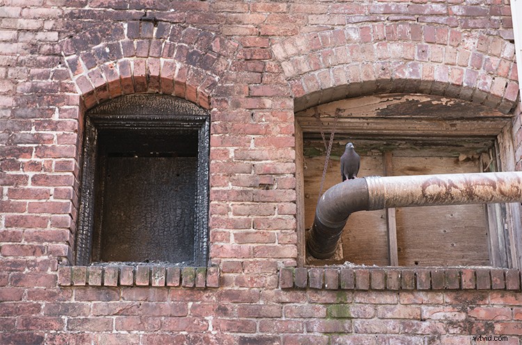 Master 3 Essential Quick Photoshop Edits Every Photographer Needs