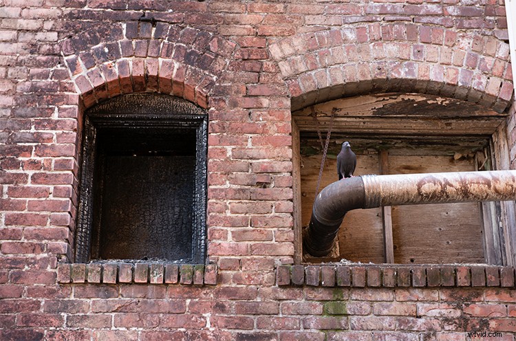 Master 3 Essential Quick Photoshop Edits Every Photographer Needs