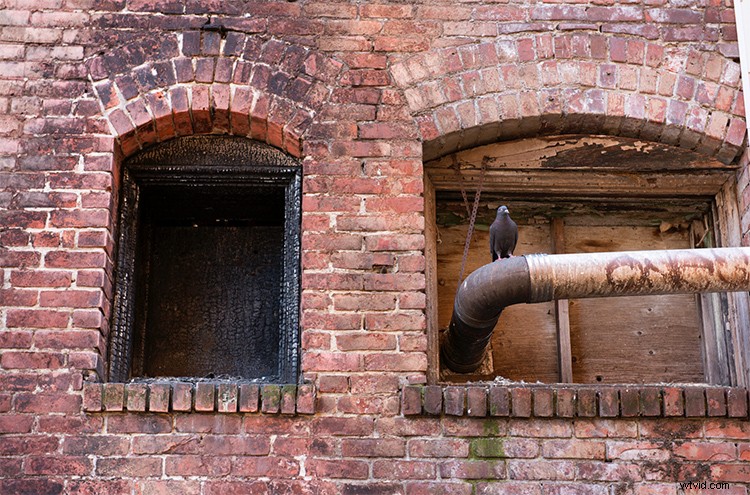 Master 3 Essential Quick Photoshop Edits Every Photographer Needs