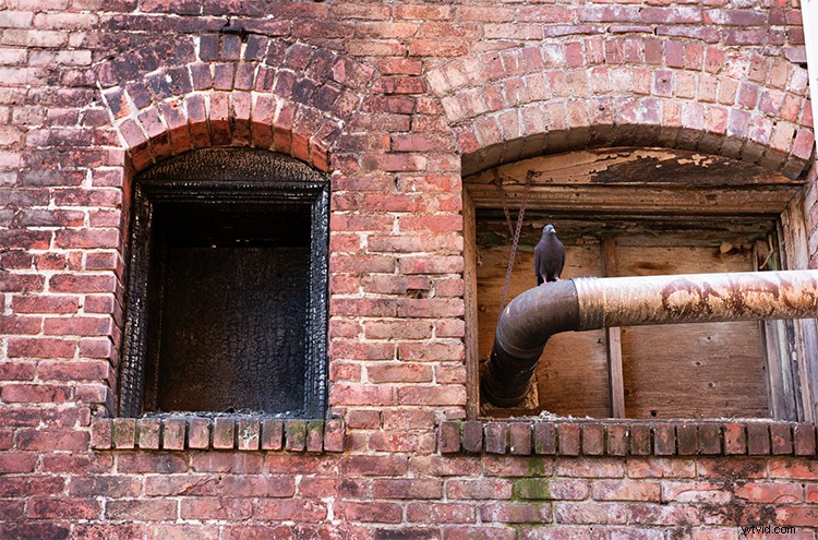 Master 3 Essential Quick Photoshop Edits Every Photographer Needs