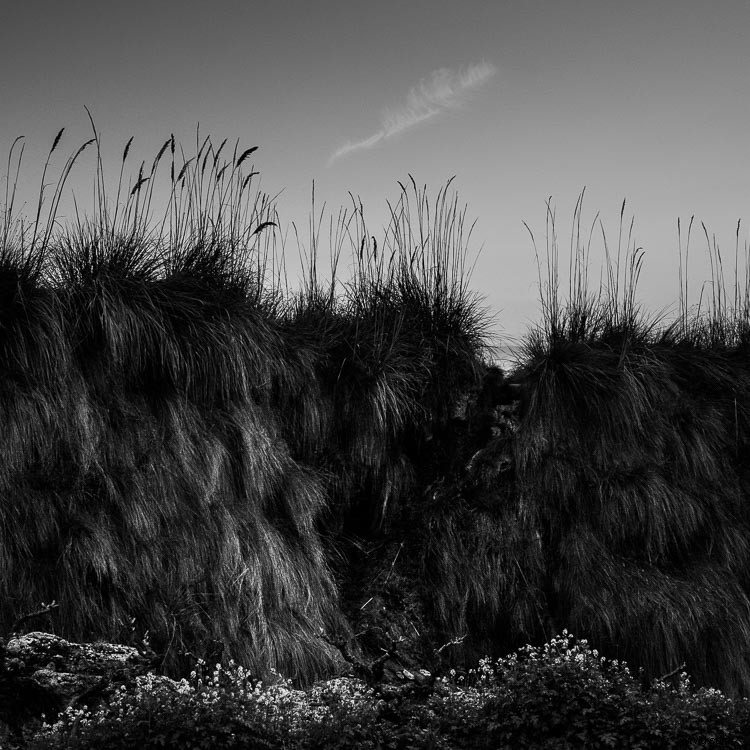 5 Common Black & White Photography Mistakes to Avoid for Stunning Results