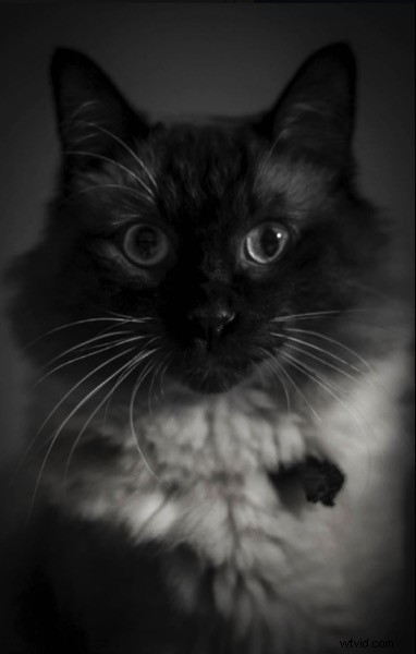 Master Manual Mode: Unlock Artistic Control in Your Photography