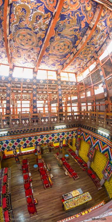 Ultimate Guide: How to Shoot Stunning Vertical Panoramas (Vertoramas)